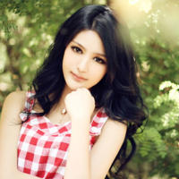 新年的作文500字